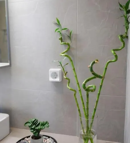 Ermioni's In Agia Efimia