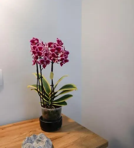 Feriehus Ermioni's In