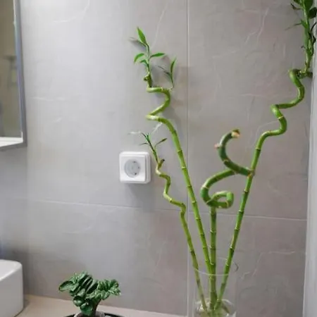 Ermioni's In Agia Efimia