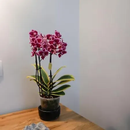 Vakantiehuis Ermioni's In